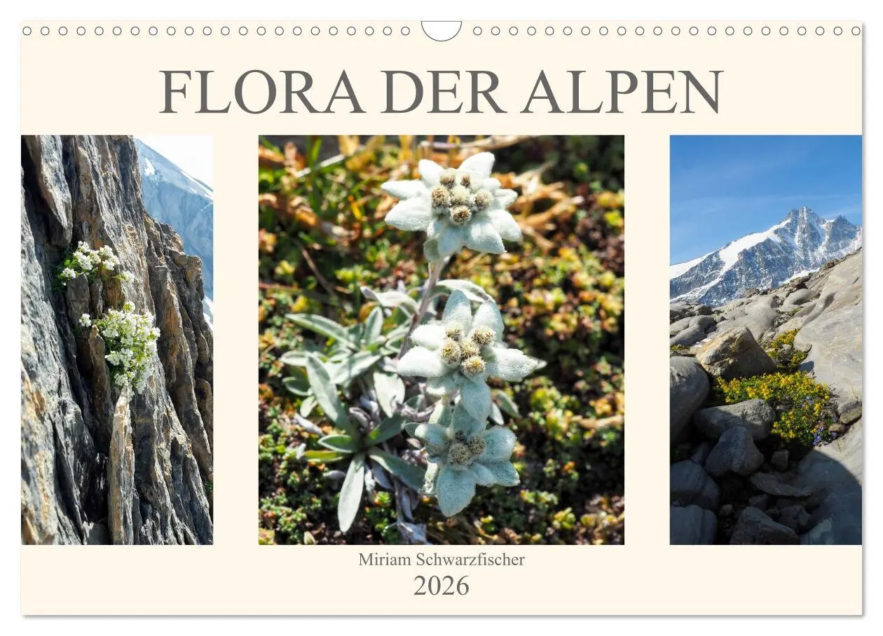 Cover: 9783457932391 | Flora der Alpen (Wandkalender 2026 DIN A3 quer), CALVENDO...